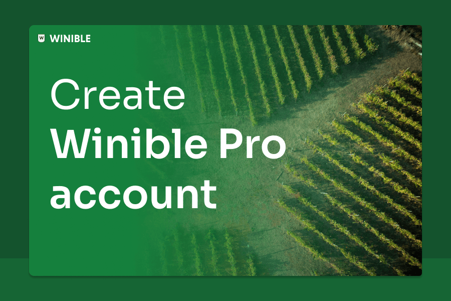 Create Your Winible Pro Account