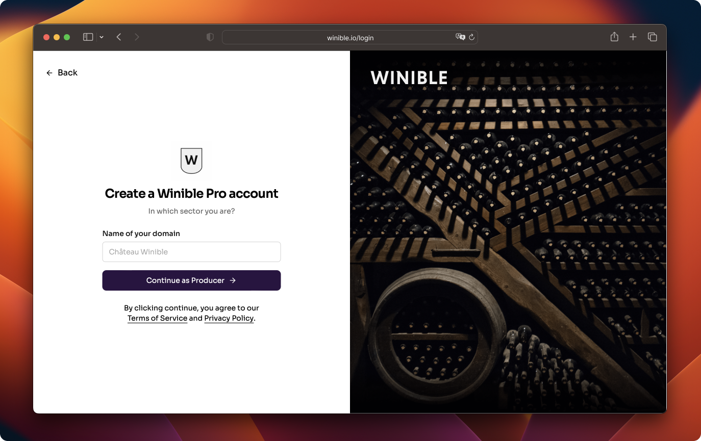 Entering the domain name when creating a Producer account on Winible.